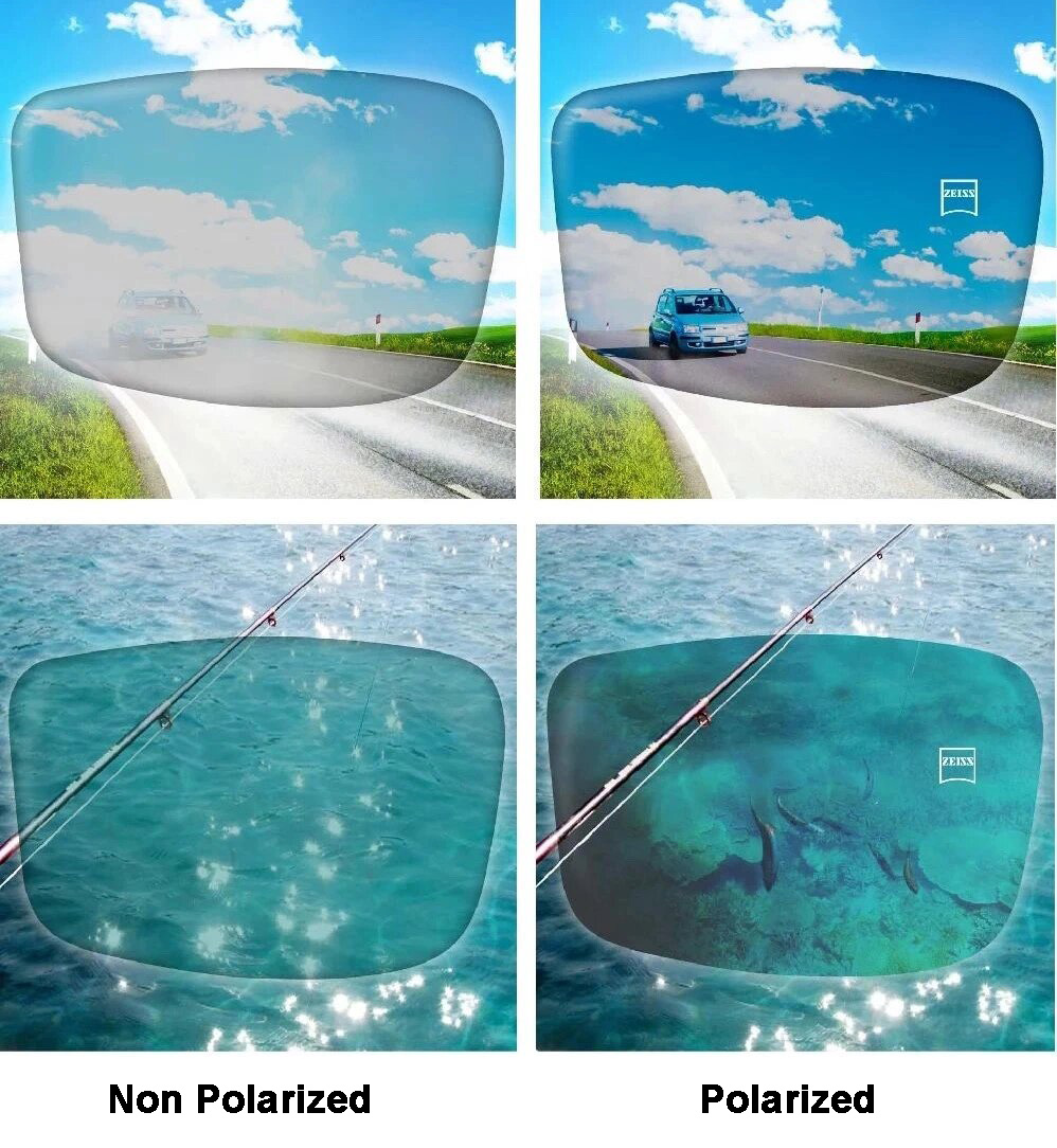 polarized sunglass.jpg